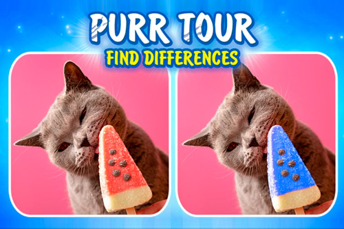 Purr Tour Find Differences - Portada oficial